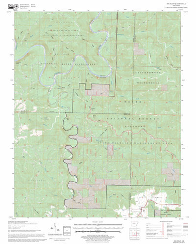 US Forest Service - Topo Big Flat, AR FSTopo Legacy digital map