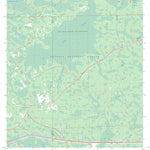 US Forest Service - Topo Big Gum Swamp, FL FSTopo Legacy digital map
