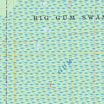 US Forest Service - Topo Big Gum Swamp, FL FSTopo Legacy digital map