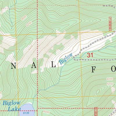US Forest Service - Topo Big Hawk Mountain, MT FSTopo Legacy digital map