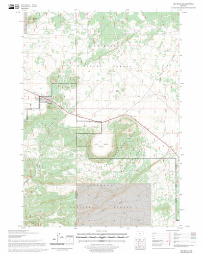 US Forest Service - Topo Big Hole, OR FSTopo Legacy digital map