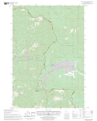 US Forest Service - Topo Big Hole Pass, ID - MT FSTopo Legacy digital map