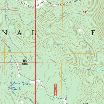 US Forest Service - Topo Big Lake South, AZ FSTopo Legacy digital map