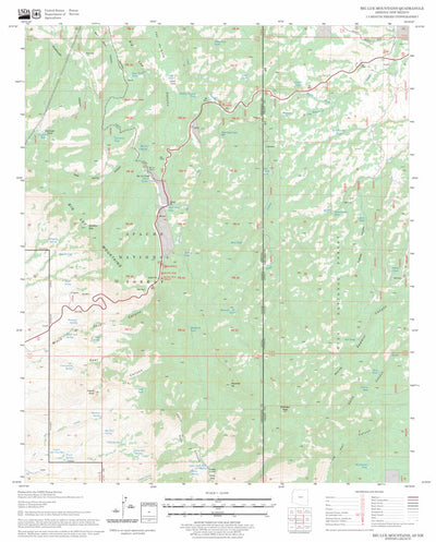US Forest Service - Topo Big Lue Mountains, AZ - NM FSTopo Legacy digital map