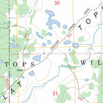 US Forest Service - Topo Big Marvine Peak, CO FSTopo Legacy digital map