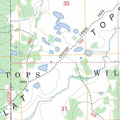 US Forest Service - Topo Big Marvine Peak, CO FSTopo Legacy digital map
