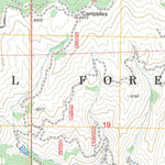 US Forest Service - Topo Big Owl Creek, ID FSTopo Legacy digital map