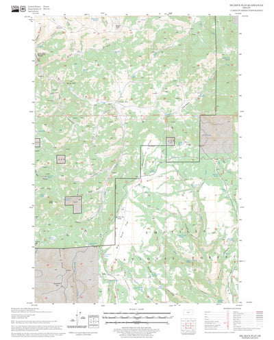 US Forest Service - Topo Big Rock Flat, OR FSTopo Legacy digital map