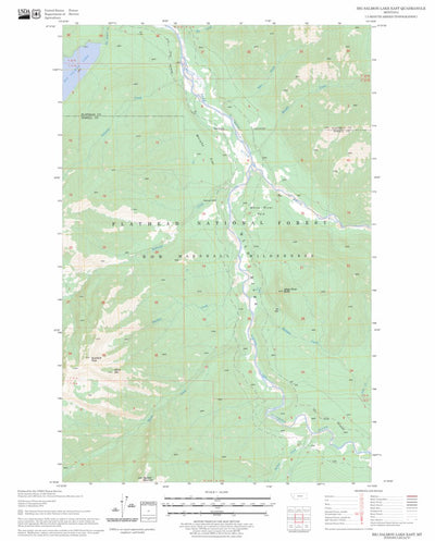 US Forest Service - Topo Big Salmon Lake East, MT FSTopo Legacy digital map
