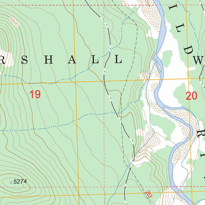 US Forest Service - Topo Big Salmon Lake East, MT FSTopo Legacy digital map