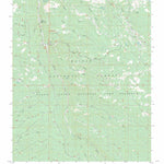 US Forest Service - Topo Big Springs, AZ FSTopo Legacy digital map