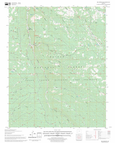 US Forest Service - Topo Big Springs, AZ FSTopo Legacy digital map