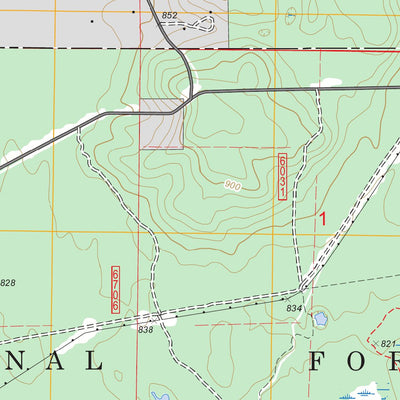 US Forest Service - Topo Big Star Lake, MI FSTopo Legacy digital map