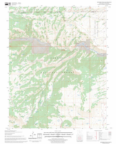 US Forest Service - Topo Bighorn Peak, NM - CO FSTopo Legacy digital map