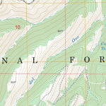 US Forest Service - Topo Bighorn Peak, NM - CO FSTopo Legacy digital map