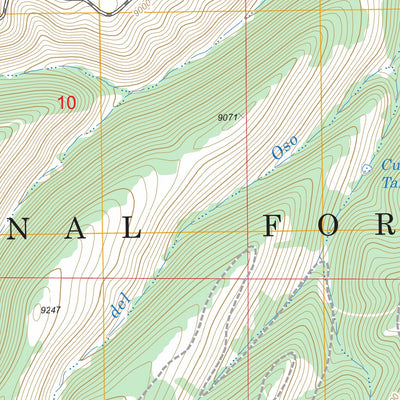 US Forest Service - Topo Bighorn Peak, NM - CO FSTopo Legacy digital map