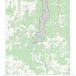 US Forest Service - Topo Billmore, MO FSTopo Legacy digital map
