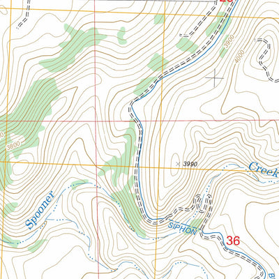 US Forest Service - Topo Bing, MT FSTopo Legacy digital map