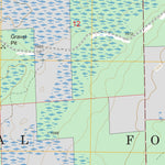 US Forest Service - Topo Bird Lake, MN FSTopo Legacy digital map