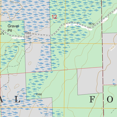 US Forest Service - Topo Bird Lake, MN FSTopo Legacy digital map
