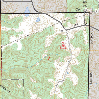 US Forest Service - Topo Birdseye, IN FSTopo Legacy digital map