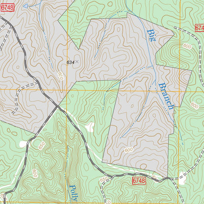 US Forest Service - Topo Biscoe, NC FSTopo Legacy digital map