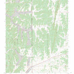 US Forest Service - Topo Bixler Ranch, NM FSTopo Legacy digital map