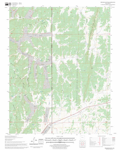 US Forest Service - Topo Bixler Ranch, NM FSTopo Legacy digital map