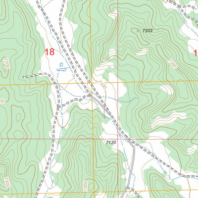 US Forest Service - Topo Bixler Ranch, NM FSTopo Legacy digital map