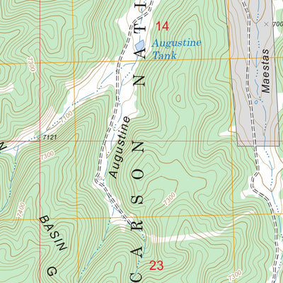 US Forest Service - Topo Bixler Ranch, NM FSTopo Legacy digital map