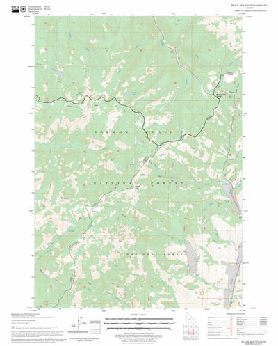 US Forest Service - Topo Black Mountain, ID FSTopo Legacy digital map
