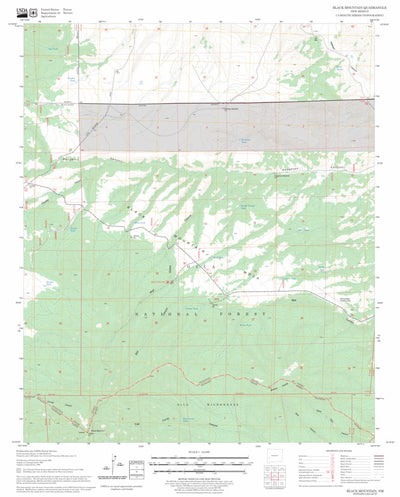 US Forest Service - Topo Black Mountain, NM FSTopo Legacy digital map