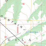US Forest Service - Topo Black Mountain, NM FSTopo Legacy digital map