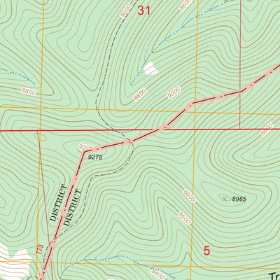 US Forest Service - Topo Black Mountain, NM FSTopo Legacy digital map