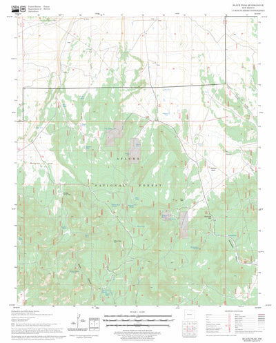 US Forest Service - Topo Black Peak, NM FSTopo Legacy digital map