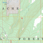 US Forest Service - Topo Black Peak, NM FSTopo Legacy digital map