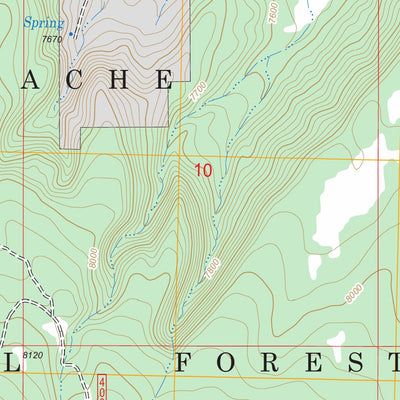 US Forest Service - Topo Black Peak, NM FSTopo Legacy digital map