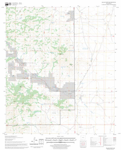 US Forest Service - Topo Black Point, NM FSTopo Legacy digital map