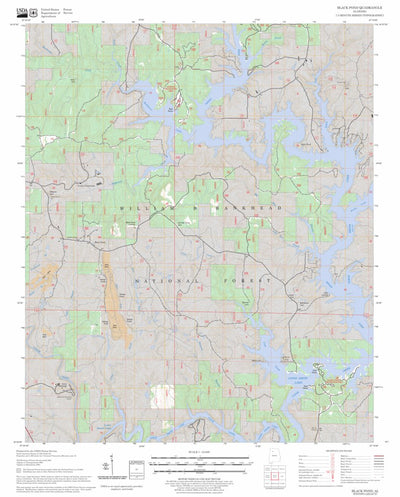 US Forest Service - Topo Black Pond, AL FSTopo Legacy digital map