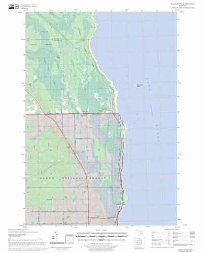 US Forest Service - Topo Black River, MI FSTopo Legacy digital map