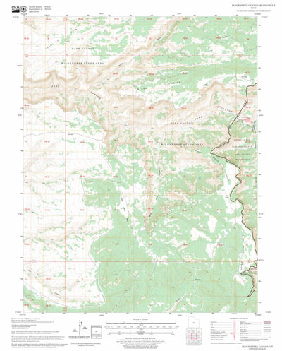 US Forest Service - Topo Black Steer Canyon, UT FSTopo Legacy digital map