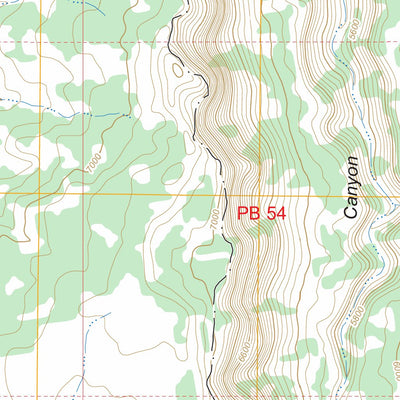 US Forest Service - Topo Black Steer Canyon, UT FSTopo Legacy digital map