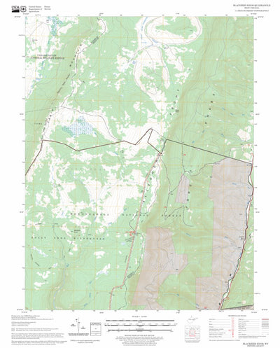 US Forest Service - Topo Blackbird Knob, WV FSTopo Legacy digital map