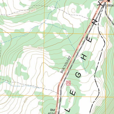 US Forest Service - Topo Blackbird Knob, WV FSTopo Legacy digital map