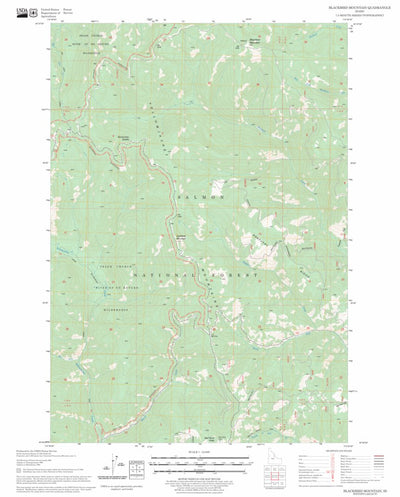 US Forest Service - Topo Blackbird Mountain, ID FSTopo Legacy digital map