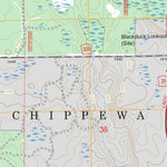 US Forest Service - Topo Blackduck, MN FSTopo Legacy digital map