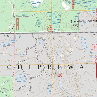 US Forest Service - Topo Blackduck, MN FSTopo Legacy digital map