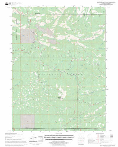 US Forest Service - Topo Blackhall Mountain, WY - CO FSTopo Legacy digital map