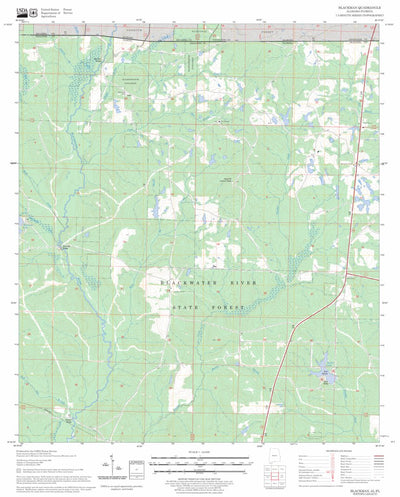 US Forest Service - Topo Blackman, AL - FL FSTopo Legacy digital map