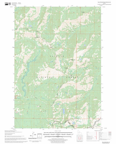US Forest Service - Topo Blackmare, ID FSTopo Legacy digital map